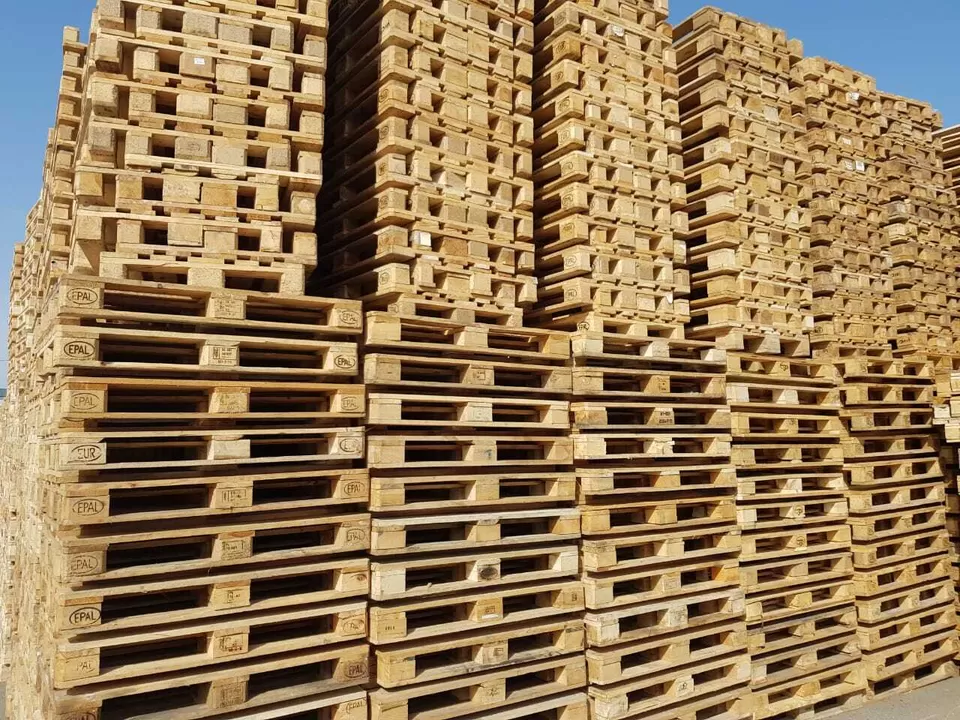 Pallet dal patrono Turkuaz